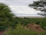 Manyara Lake
IMG00869
