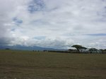 參觀完Odulpai Gorge, 乘車經Ngorongoro National Park 往Serengeti National Park 途中
IMG00960