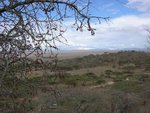 從Serengeti National Park在Naabi Hill入口旁的小山丘上下望National Park 景
IMG00968