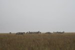 IMG01096