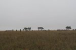 IMG01097
