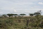 IMG01419
