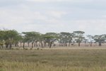 IMG01421