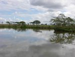 水中好似有河馬(hippopotamus)&#22083;
IMG01422