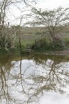 IMG01427