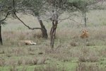 IMG01440