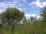 IMG01465