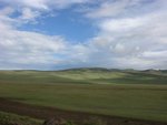 乘車離開Serengeti National Park 途中
IMG01475