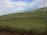 我們己經在 Ngorongoro Conservative Area範圍內
IMG01479