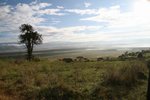 Ngorongoro Crater內
IMG01596