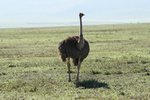 IMG01641