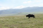 IMG01652