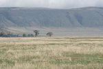 IMG01682