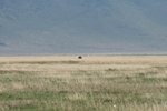 真係好好好遠呀
IMG01689