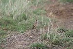 ? ? ? 
IMG01707