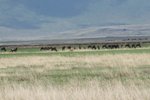 IMG01722