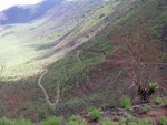 上到去, 睇番剛才上山條路(Lerai Ascent Road)
IMG01819