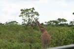 IMG01870