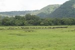 IMG01874