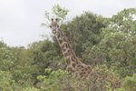 IMG01876