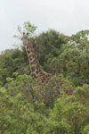 IMG01877