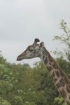 IMG01878