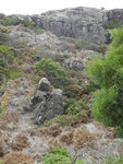 吊車站右望見山腰有兩大石, 似兩只動物在觀海
TAS00509