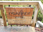 原來條棧道叫 雨林步道 rainforest walk
TAS00843