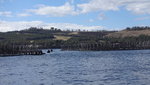 在 North Bruny Island 的三文魚場, 背後是 Bruny Island
TAS01456