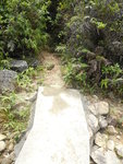 過坑前少少便接右邊山路
DSCN6049