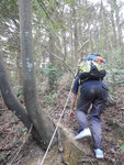 麥徑7段穿林落蝦公坑再山路穿林上城門林道, 此之為蝦公反彈
DSCN6166