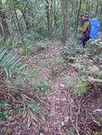 至分岔路走右邊的舊麥徑
DSCN6844
