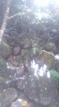 DSCN0029