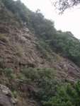 睇落係唔係好直呢, 都幾得人驚
PC128686