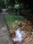DSCN8155
