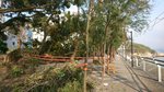 杏花村海邊的林蔭路被封
IMG-20180920-WA0061 (2)