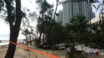 被塌樹封了的林蔭海邊路
IMG-20180920-WA0063