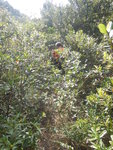 DSCN9120