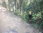 碧扇潭瀑後接山路離澗再接鹿湖郊遊徑
DSCN9132