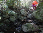 DSCN9240