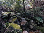 DSCN9242
