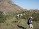 背後係唔係東灣山呢?  
PC199050