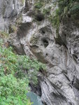 燕子口步道中立霧溪景旁的壺穴, 因燕子們於其間覓食嬉戲，因而得名燕子口
03TPE0538