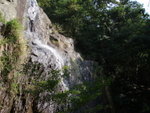 PC249211