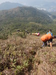 DSCN0377
