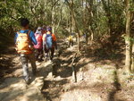 走馬鞍山郊遊徑
DSCN0383