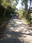 續走馬鞍山郊遊徑(馬鞍山村路或良友路)
DSCN0385