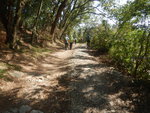 中途轉右邊山路
DSCN0388