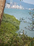 右望沙頭角海見遠處的深圳市高樓大廈
DSCN0597