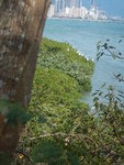 DSCN0598